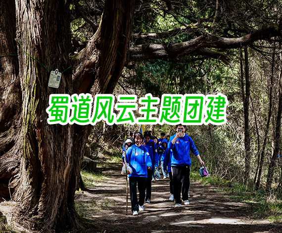 【蜀道风云】情境团建：探秘蜀道风云，感知人文历史