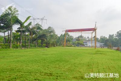 成都山美特顺江基地
