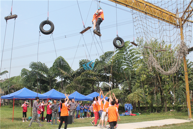 1561627017104696.jpg IMG_8650.jpg