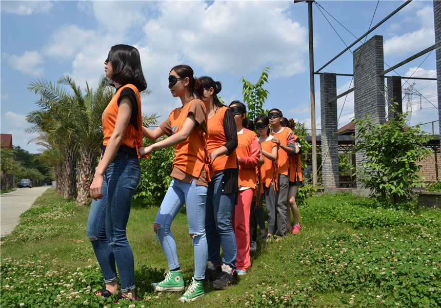 1563355262146652.jpg DSC_0216.JPG