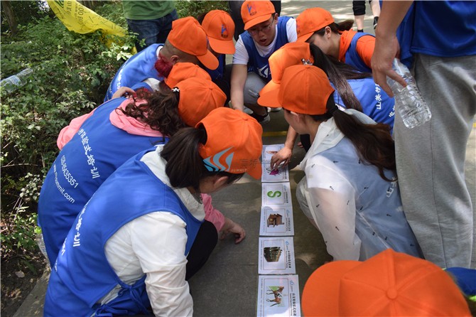 1564391843361596.jpg DSC_0139.jpg