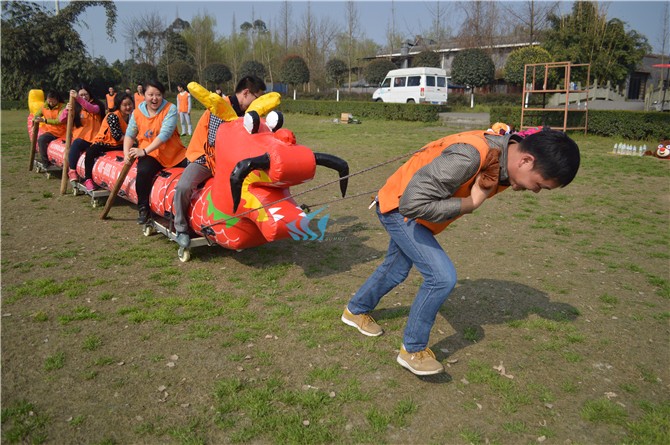 1564647738230176.jpg DSC_0104.jpg