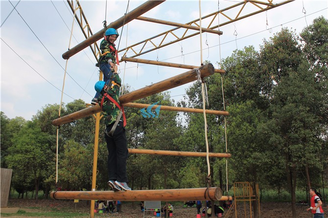 1564647778890327.jpg IMG_2929.jpg